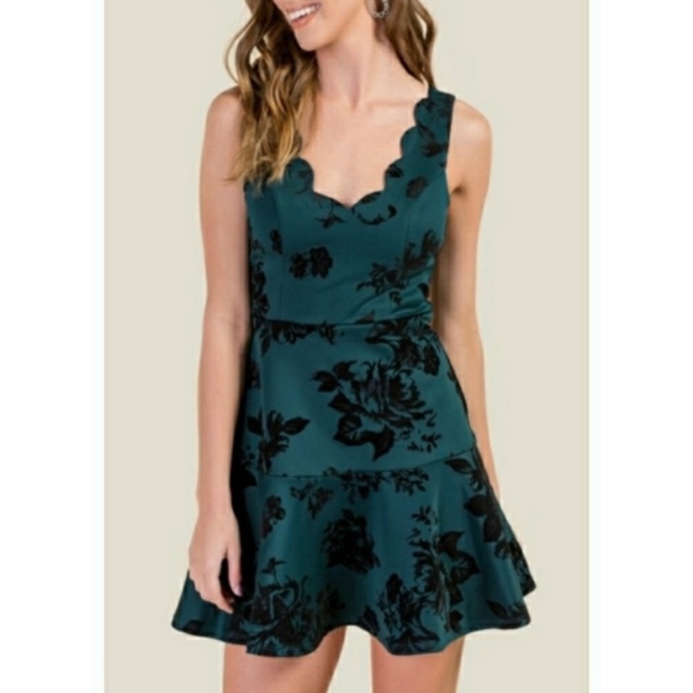 LAST CHANCE! Francesca’s Trixxi Hunter Green & Black Velvet Floral Dress